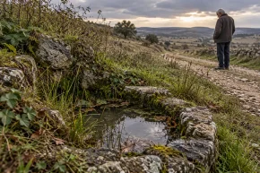 La fuente los sorianos