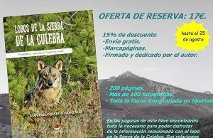 LOBOS DE LA SIERRA DE LA CULEBRA, la oferta llega a su fin.