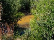 EL GRUPO POPULAR DE PUEBLA DE SANABRIA PONE DE MANIFIESTO ANTE EL AYUNTAMIENTO EL ESTADO DEL RÍO TERA Y LAS MANCHAS APARECIDAS.