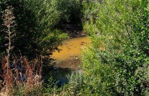 EL GRUPO POPULAR DE PUEBLA DE SANABRIA PONE DE MANIFIESTO ANTE EL AYUNTAMIENTO EL ESTADO DEL RÍO TERA Y LAS MANCHAS APARECIDAS.
