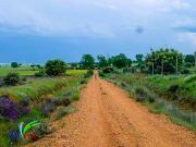 Plataformas del mundo rural se reúnen para explorar la vía política frente a la despoblación