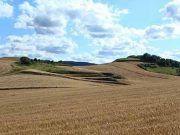 La reducción en los módulos en el régimen de estimación agraria del IRPF 2019 en Castilla y León beneficia a los productores de cereales, fruta, uva, leguminosas y ganadería extensiva