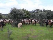 El coronavirus da un vuelco al mundo rural