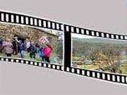 La APT anima a los tabareses a celebrar un día de San Mamés “diferente”.