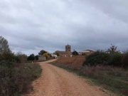 La consejería de Agricultura invierte más de 500.000 euros en la zona regable de Tábara.