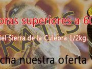 Nueva oferta de ibéricospalacio.com