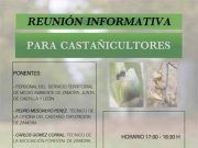 Reunión informativa para castañicultores