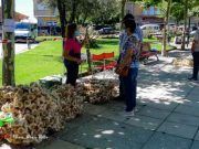 Segunda feria del ajo en Tábara