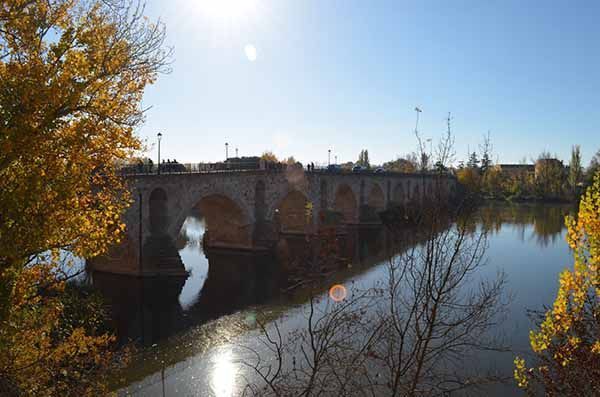 La Policía Nacional de Zamora y usuarios de la Residencia Virgen del Yermo han recorrido el Camino de Santiago a su paso por Zamora 7