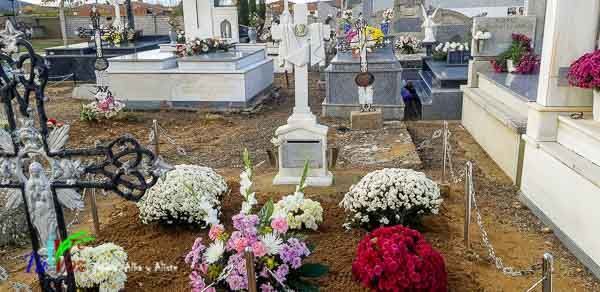 Tábara, como cada año, recuerda a sus difuntos con una espectacular ofrenda floral. 7