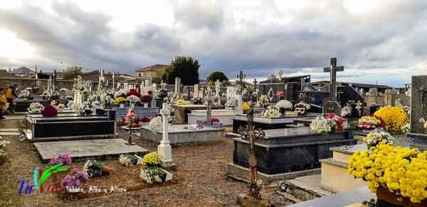 Tábara, como cada año, recuerda a sus difuntos con una espectacular ofrenda floral. 6