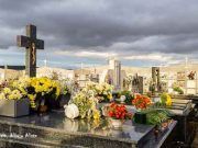 Tábara, como cada año, recuerda a sus difuntos con una espectacular ofrenda floral.