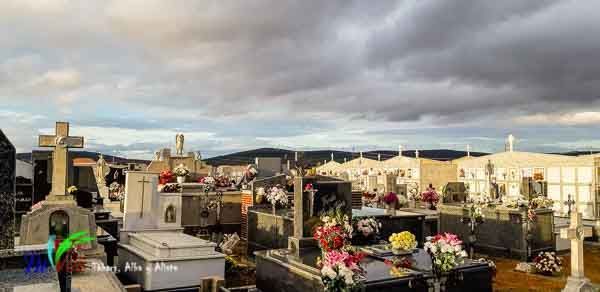 Tábara, como cada año, recuerda a sus difuntos con una espectacular ofrenda floral. 5