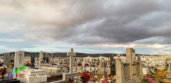Tábara, como cada año, recuerda a sus difuntos con una espectacular ofrenda floral. 3