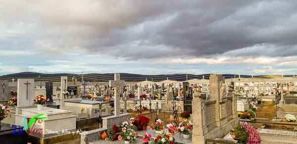 Tábara, como cada año, recuerda a sus difuntos con una espectacular ofrenda floral. 2