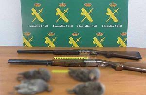 La Guardia Civil investiga a dos personas como supuestos autores de un delito contra la flora y la fauna