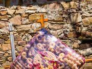 Romería de San Mamés y San Blas en Tábara