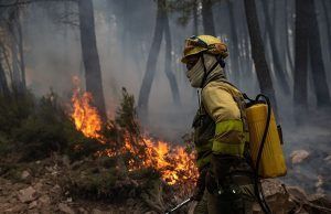 El incendio en Zamora se contiene durante la noche, pero la previsión de viento amenaza con reavivar las llamas