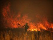 La Junta pone en marcha, como primera medida inmediata, financiación urgente para autónomos, pymes y empresas afectados por el incendio de la Sierra de la Culebra en Zamora