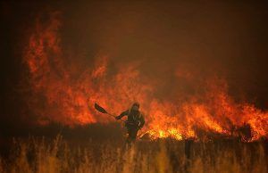 La Junta pone en marcha, como primera medida inmediata, financiación urgente para autónomos, pymes y empresas afectados por el incendio de la Sierra de la Culebra en Zamora