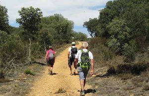 CAMINO SANABRÉS, ACONSEJABLE EN ÉPOCA ESTIVAL