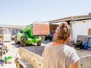 La Unidad Veterinaria del Servicio Territorial de Agricultura Ganadería y Desarrollo Rural, reparte alimentación de emergencia para las colmenas.