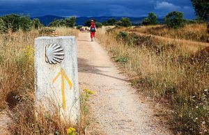 Cultura, Turismo y Deporte iluminará de nuevo el Camino de Santiago