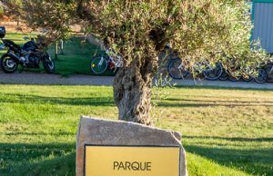 Sesnández nombra su Parque en recuerdo a Leticia Rosino