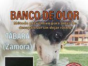 Banco de olor organizado por Unidad Canina de Rescate y Salvamento