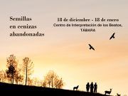 Tábara acoge la exposición “Semillas en cenizas abandonadas”