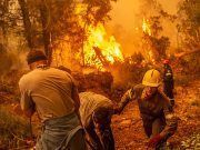 Detenido por provocar por imprudencia el incendio que arrasó 4.000 hectáreas en Zamora