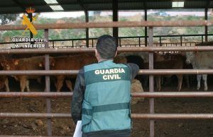 La Guardia Civil investiga a una persona como supuesto autor de los delitos de estafa y usurpación de identidad