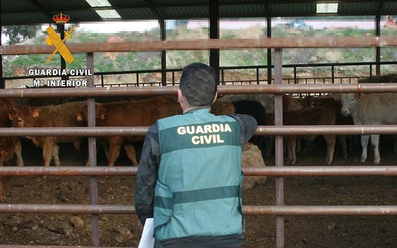 La Guardia Civil investiga a una persona como supuesto autor de los delitos de estafa y usurpación de identidad 1