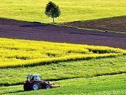 Castilla y León recibirá más de 29,5 millones de euros para el impulso de programas de desarrollo rural