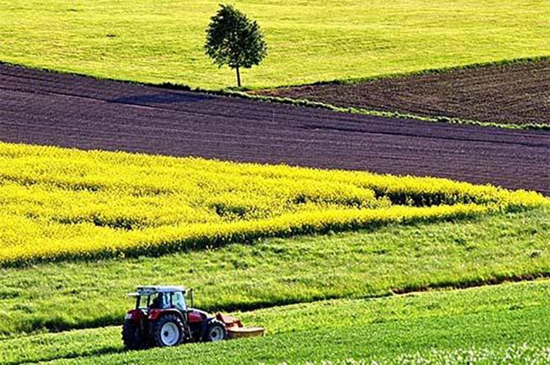 Castilla y León recibirá más de 29,5 millones de euros para el impulso de programas de desarrollo rural 1