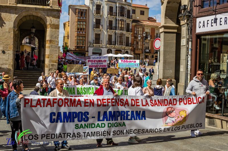 Miles de zamoranos se unen para defender la Sanidad Pública 9