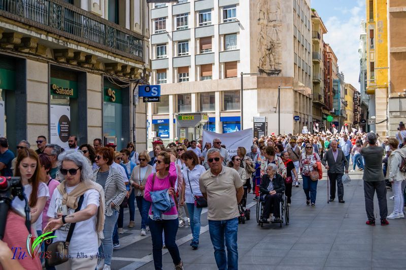 Miles de zamoranos se unen para defender la Sanidad Pública 14