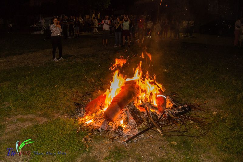 Tábara celebró la Hoguera de San Juan, un rito mágico para dar paso a lo bueno. 27