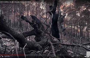 La Sierra de la Culebra, un año después de los incendios