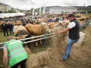 El Gobierno inicia el procedimiento de pago de 712 millones de euros en ayudas extraordinarias a agricultores y ganaderos afectados por la sequía
