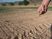 El Gobierno publica las ayudas extraordinarias por sequía para los agricultores con un importe de 357,7 millones de euros