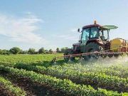 La Consejería de Agricultura, Ganadería y Desarrollo Rural pone a disposición de los agricultores y ganaderos toda la información de su explotación de forma telemática