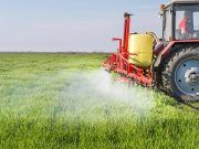 La Consejería de Agricultura, Ganadería y Desarrollo Rural recibe 65.543 solicitudes de la PAC