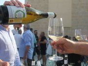 La Junta de Castilla y León convoca las ayudas a promoción de vino en terceros países
