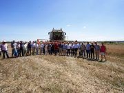 La cosecha de cereal se reduce en Castilla y León a 3,24 millones de toneladas, lo que supone un descenso del 37 % respecto a la anterior campaña