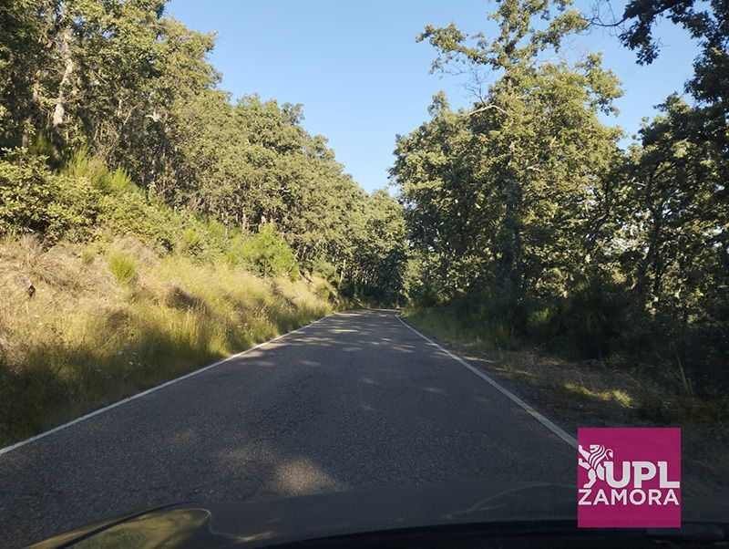 UPL pide a la Junta el desbroce de la carretera ZA-103. 1