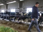 La Consejería de Agricultura, Ganadería y Desarrollo Rural convoca por 5,7 millones de euros las ayudas para la cooperación en la sucesión en las explotaciones agrarias de Castilla y León