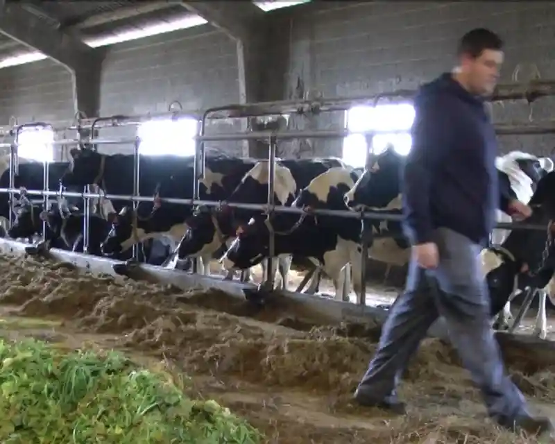 La Consejería de Agricultura, Ganadería y Desarrollo Rural convoca por 5,7 millones de euros las ayudas para la cooperación en la sucesión en las explotaciones agrarias de Castilla y León 1