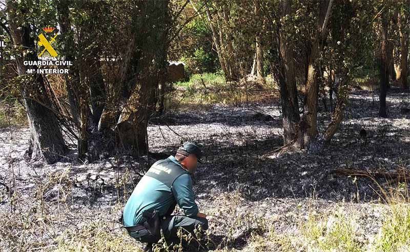 La Guardia Civil investiga a dos personas como supuestos autores de dos incendios forestales 1