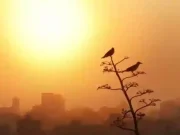 La Junta alerta sobre un episodio de intrusión de partículas de polvo procedente de África para hoy y los próximos días y recomienda tomar precauciones